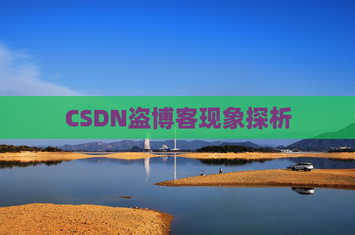 CSDN盗博客现象探析